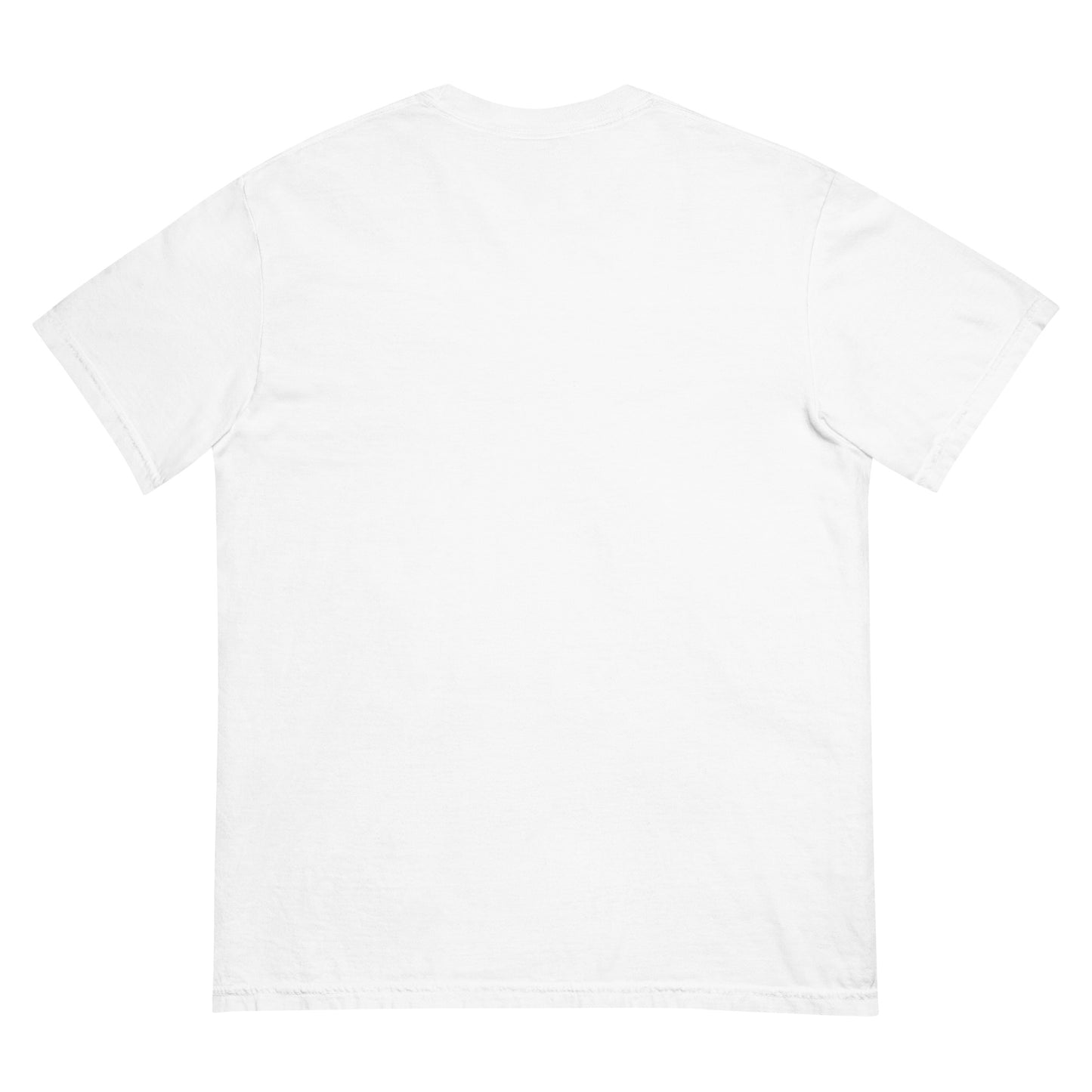 SIWYC heavyweight tee